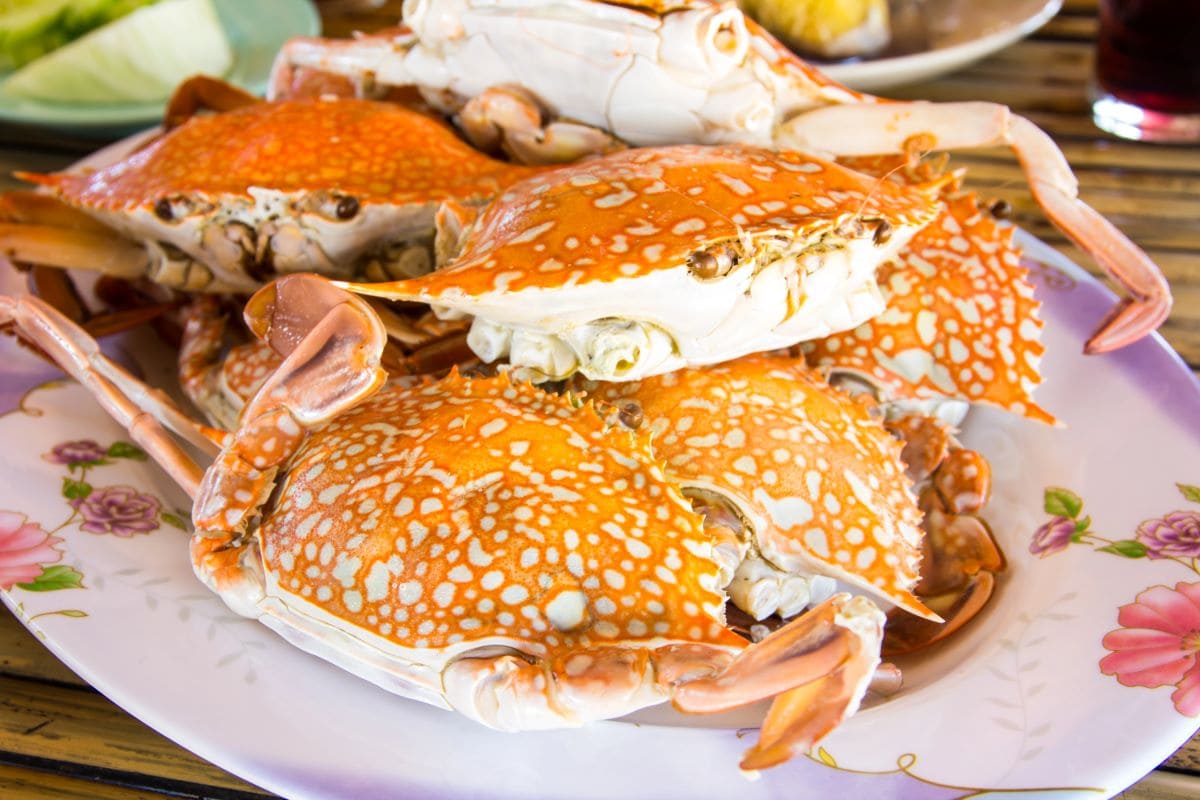 Seafood shackTorsak