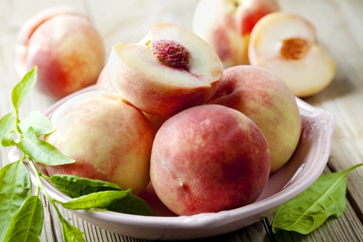White peachLivfriis