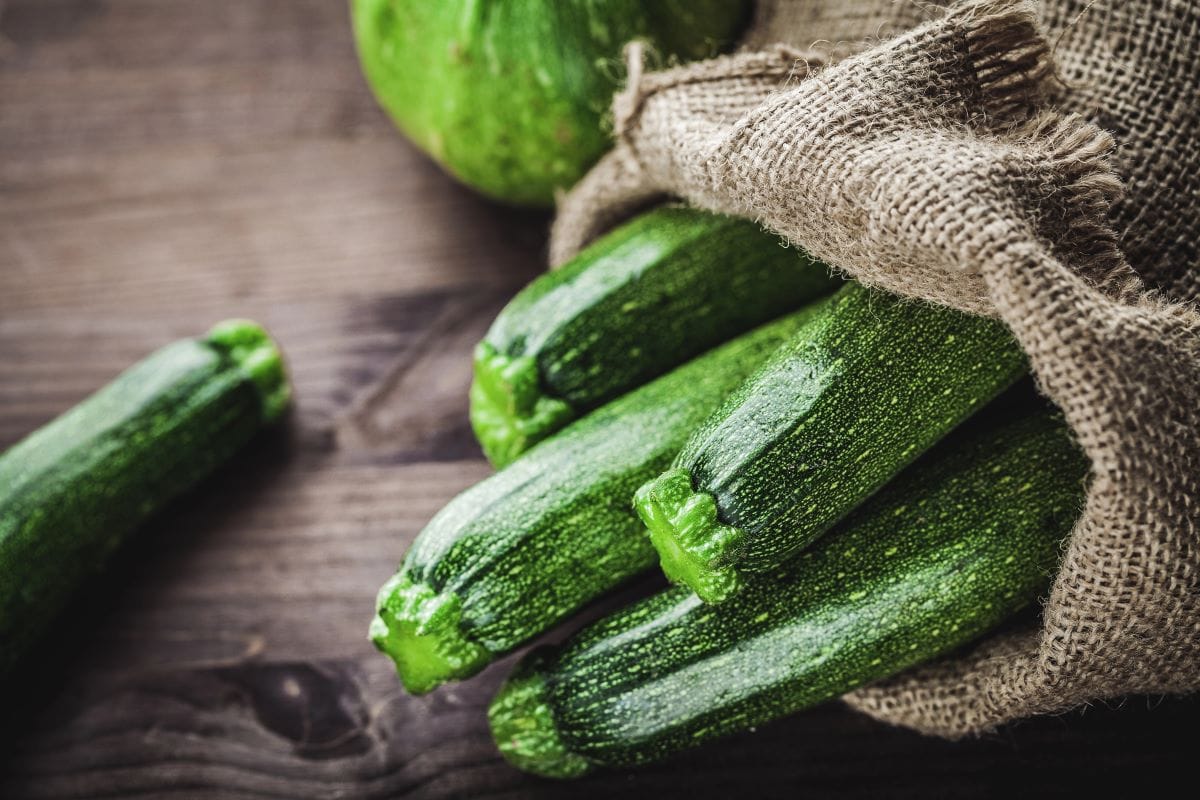 ZucchiniRoger scardigno