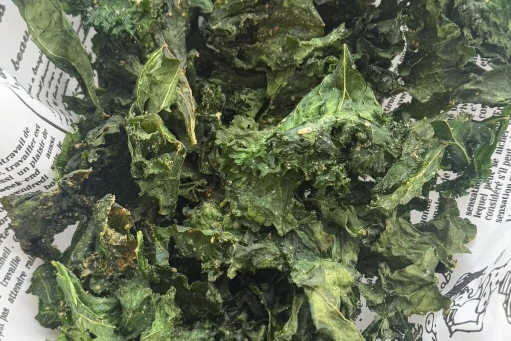 Air Fryer Kale Chips by Hello Frozen Bananas
