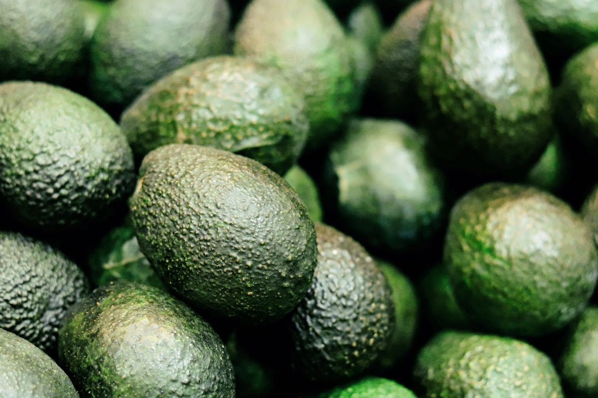 AvocadosSeeDJan
