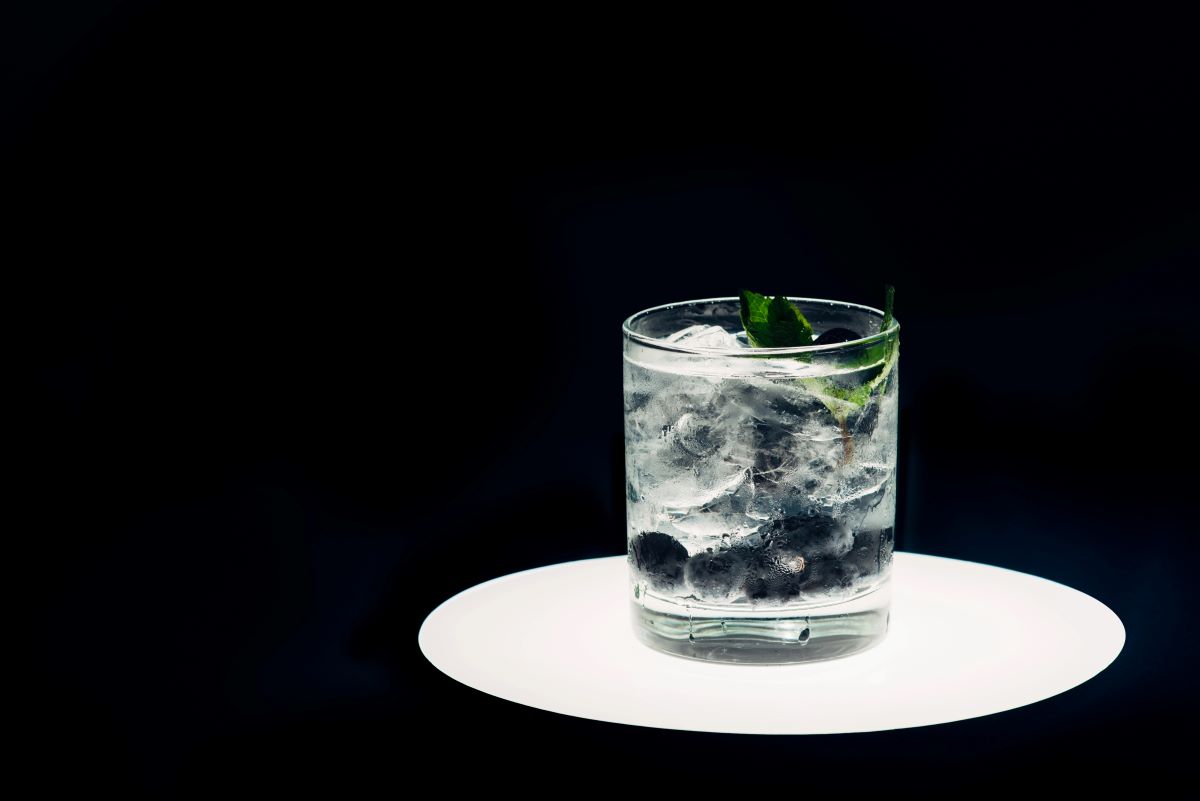 Blueberry Basil LemonadeIgorVetushko