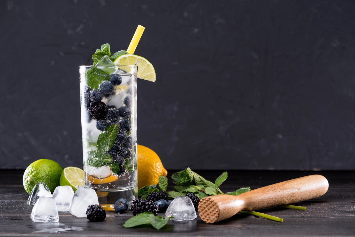 Blueberry Mint LemonadeSergPoznznskiy