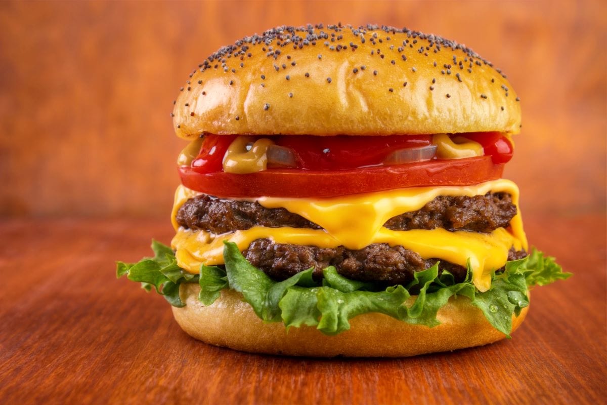 Burger with cheddar cheeseArskajuhani