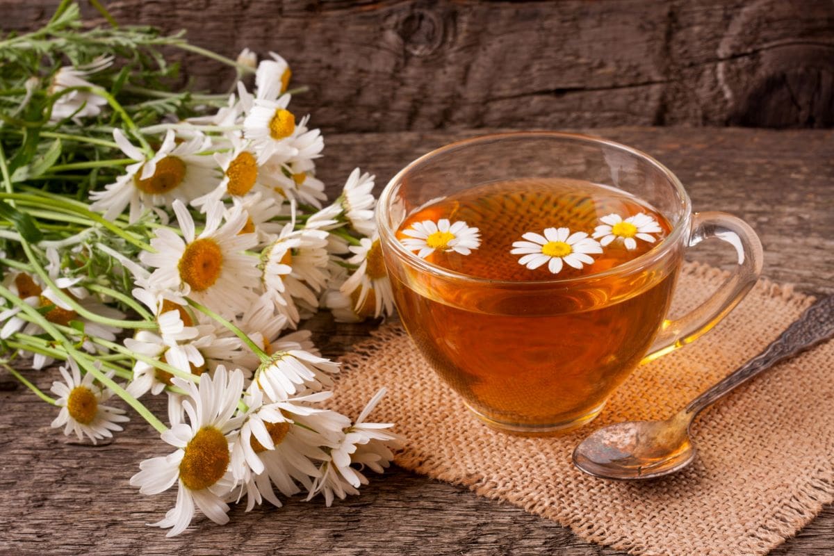 Chamomile teaKolesnikovserg