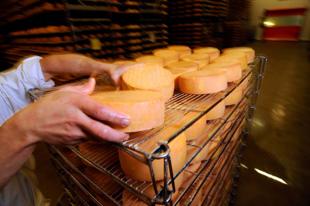 Cheese companyEgubisch