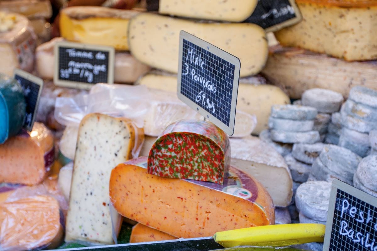 Cheese in