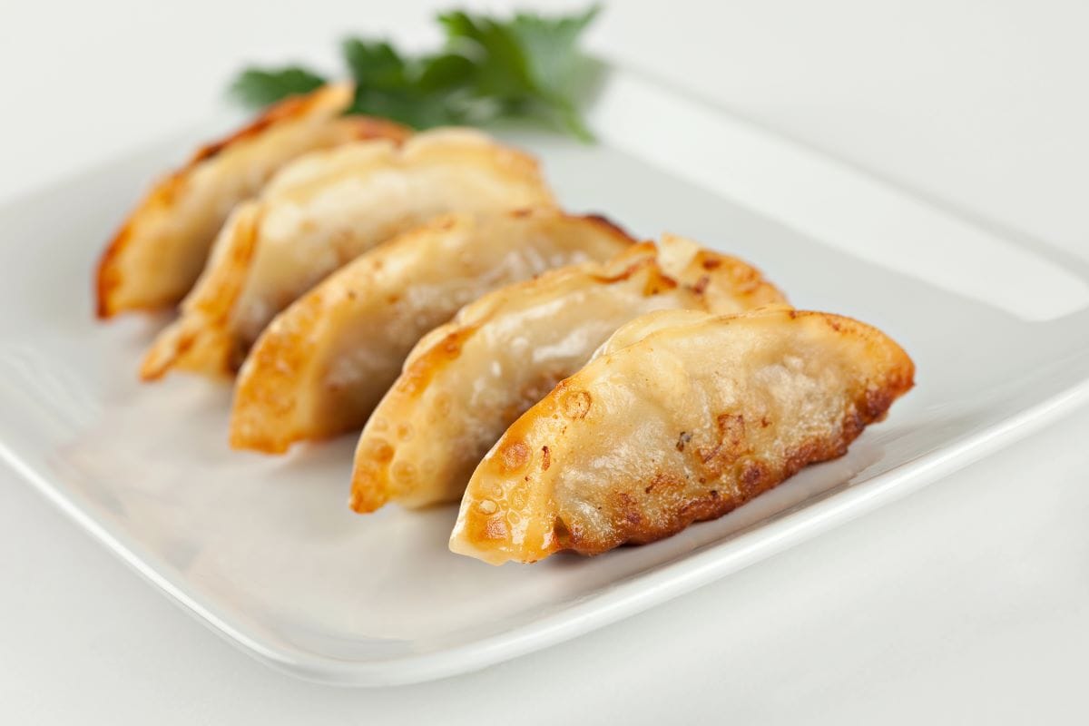 Chicken and dumplingFlashon