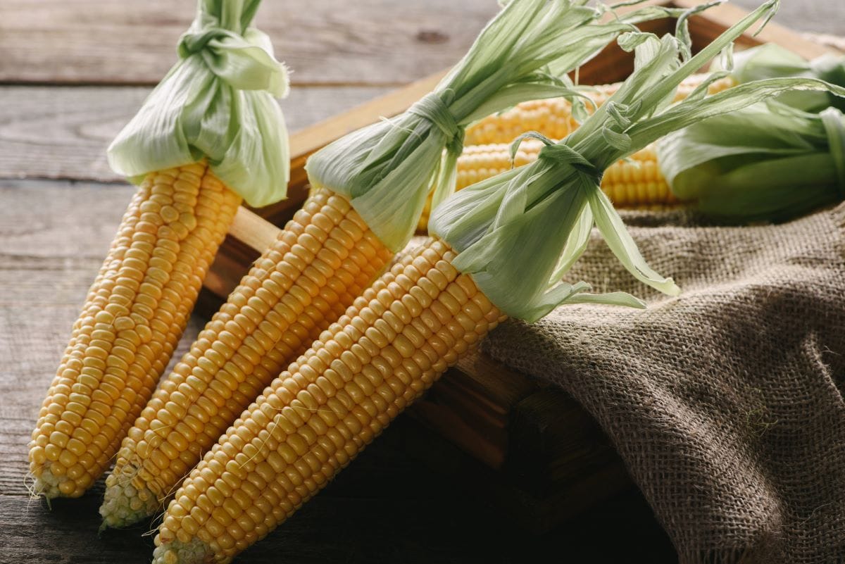 Corn on the CobVadimvasenin