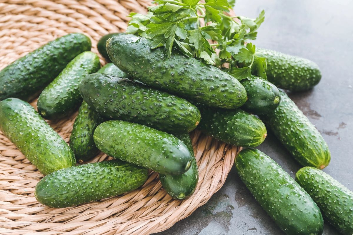 CucumberSerezniy 2