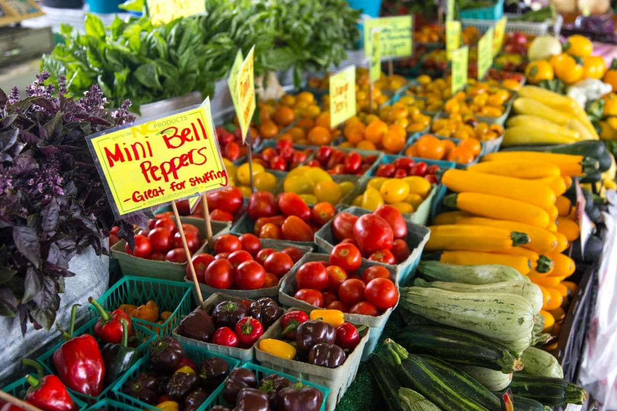 Farmers market4MarkStebnicki