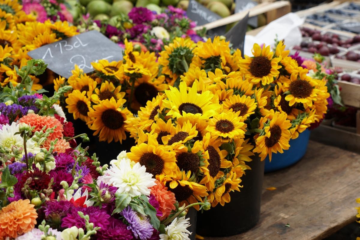 Flower stall in farmers marketAL creativ