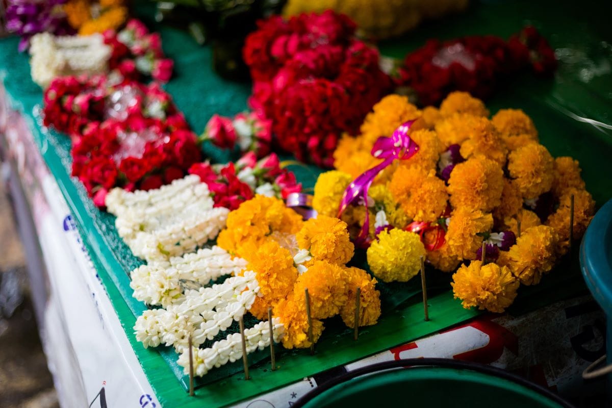 Fresh cut flowers in marketAnnabieniek
