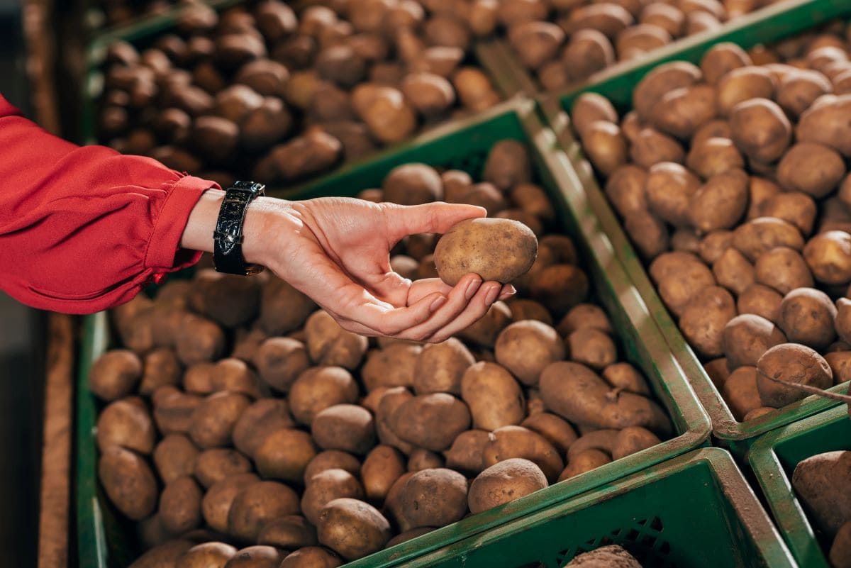 Fresh potatoesIgorVetushko