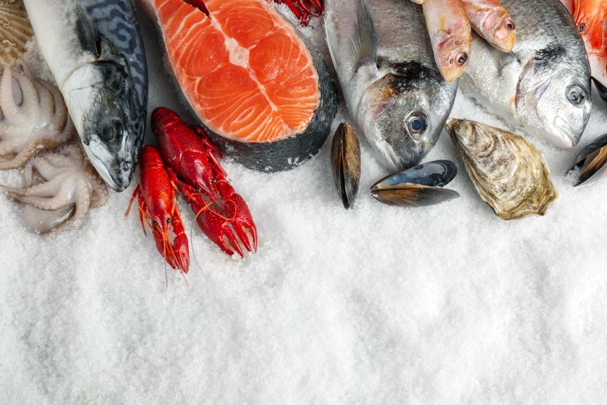 Fresh seafoodNewAfrica 1