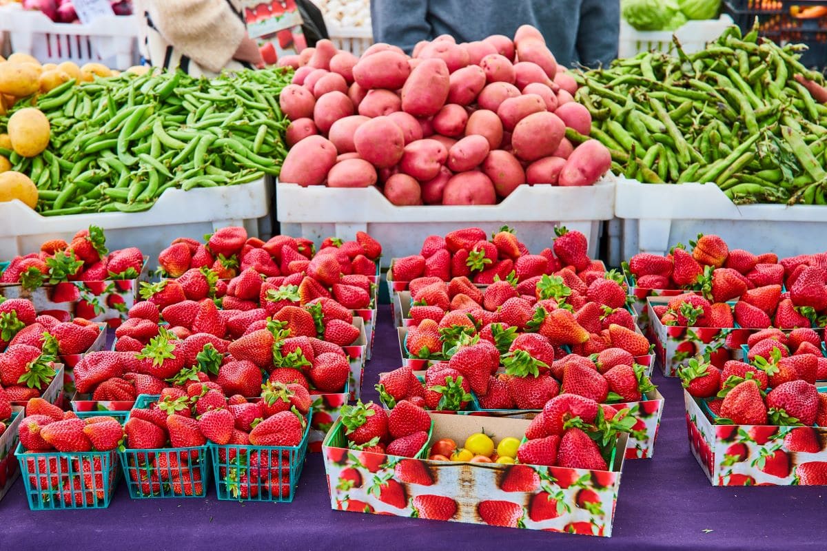 Grown strawberries in farmers marketNjproductions