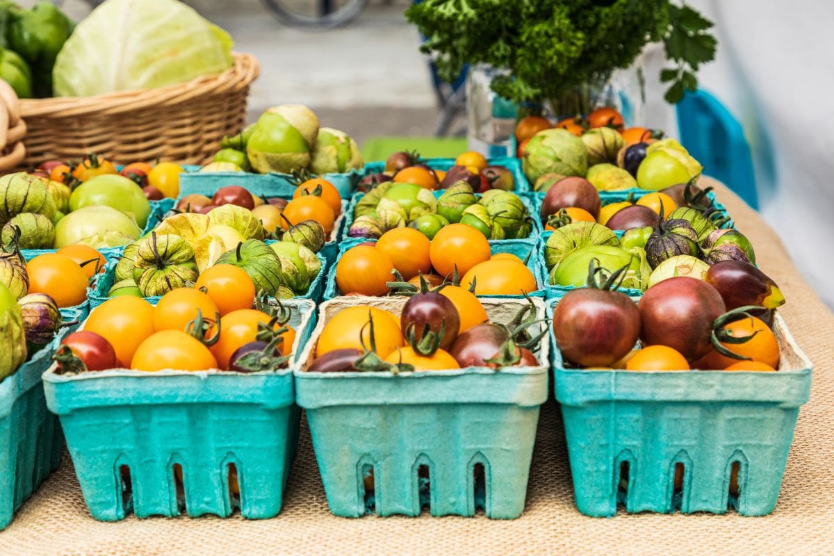 Heirloom tomatoes in marketEmilymwilson@comcast.net