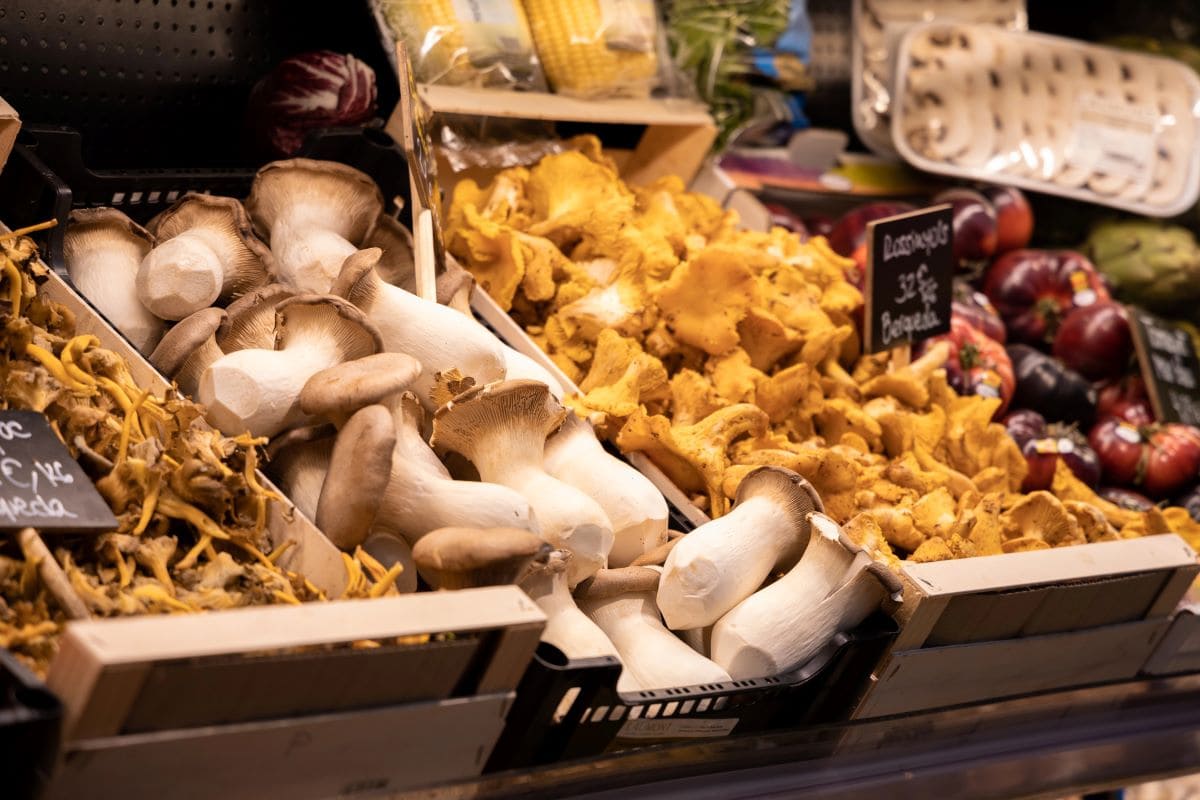 Mushrooms in marketOlllyPlu