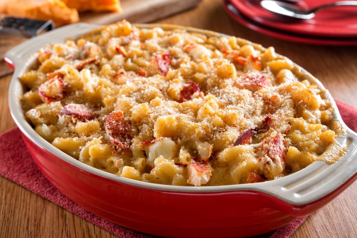 Neon Orange Macaroni and CheeseFudio