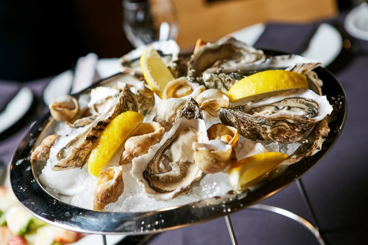 Oyster dishSerdiukov
