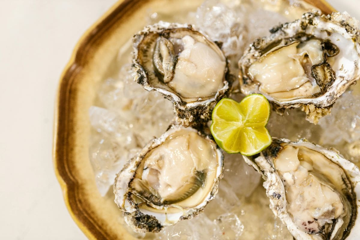 Oysters pexels rdne stock project