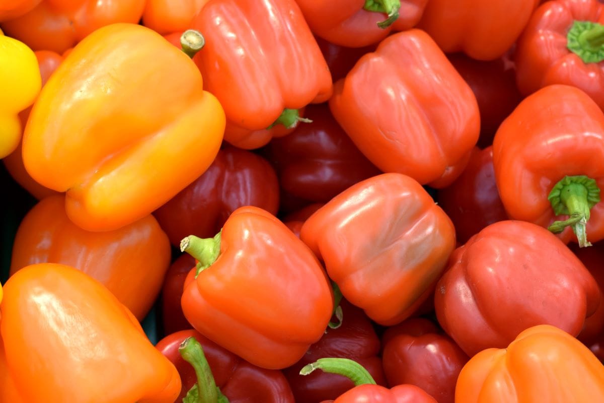 PeppersPHOTOLOHI