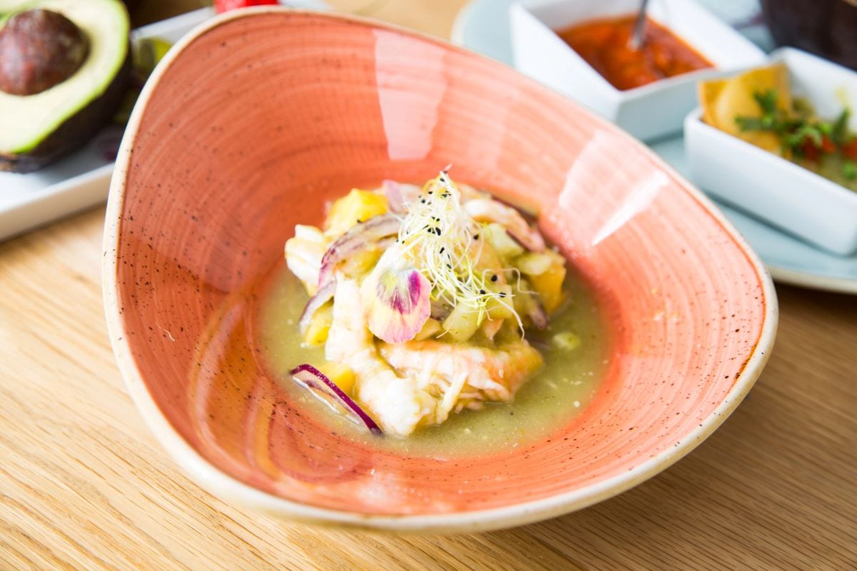 Shrimp CevicheLeckerstudio