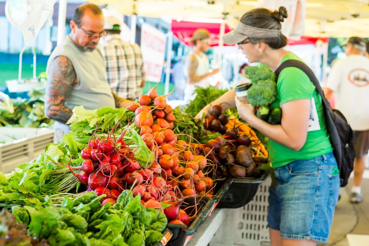 Summer Farmers marketUrban light