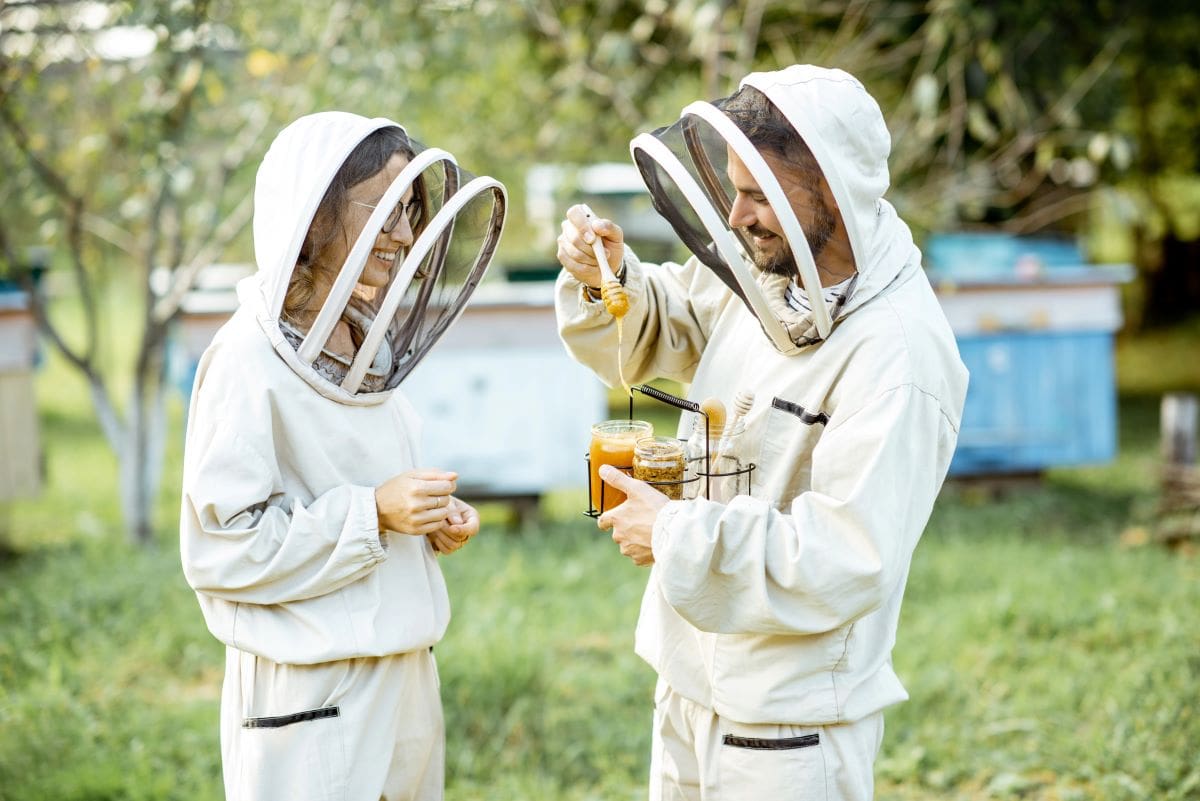 Talking to beekeeperRossandhelen