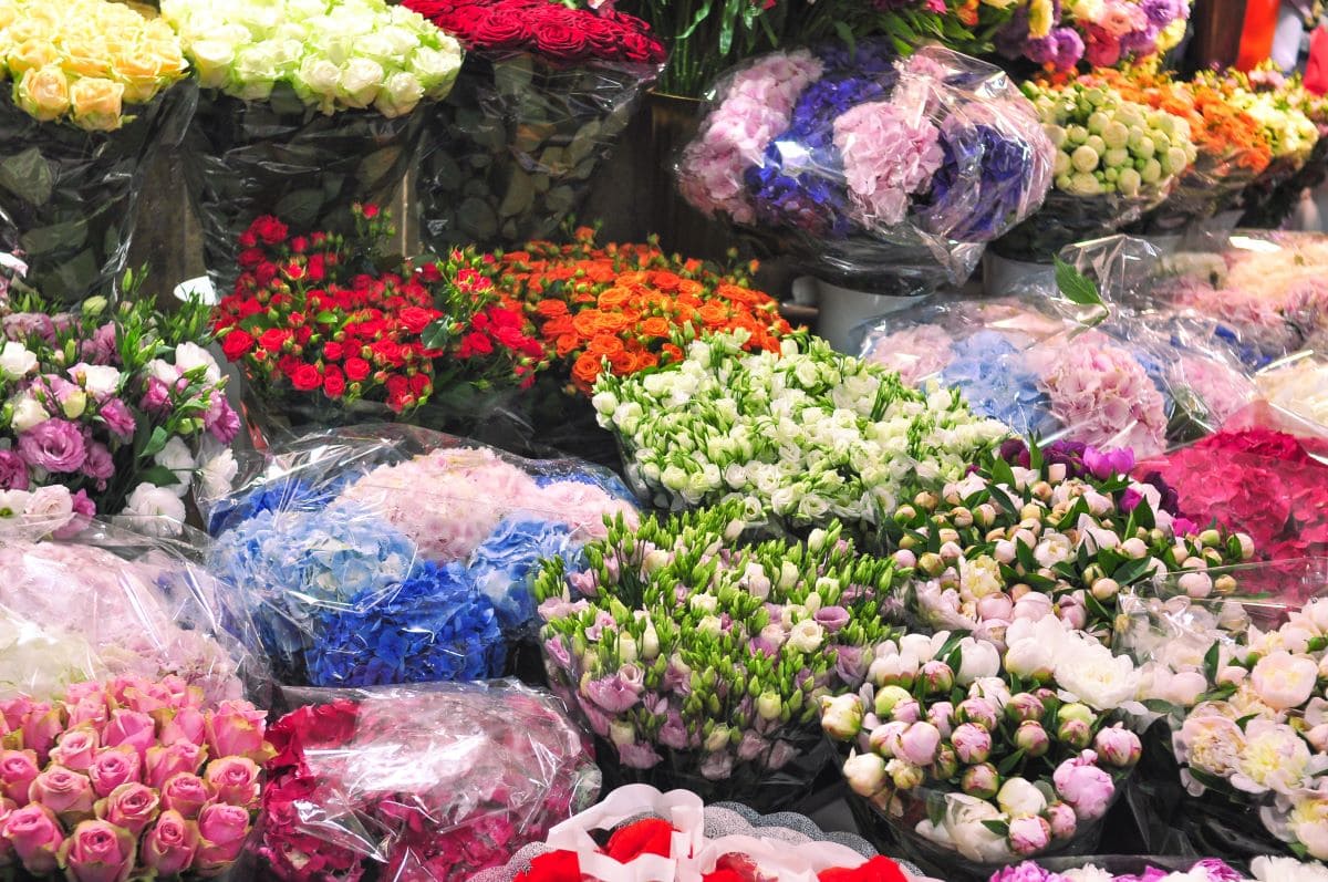 flower section in a storeDobrovolskayaemail@gmail.com