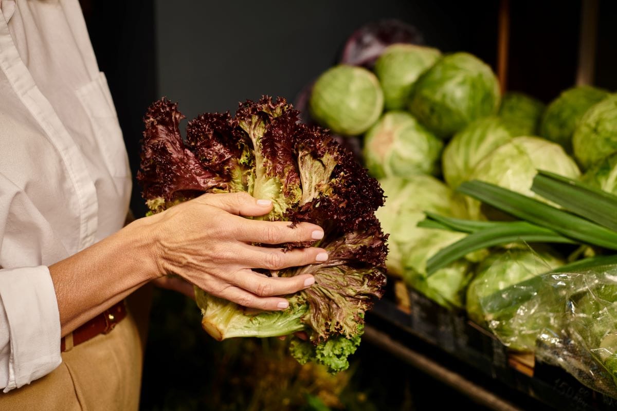 lettuce in marketIgorVetushko
