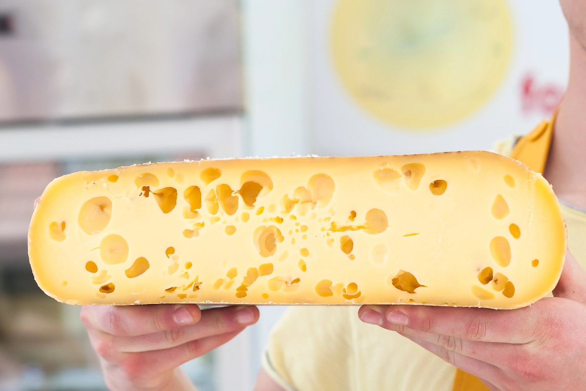 Alpine cheese