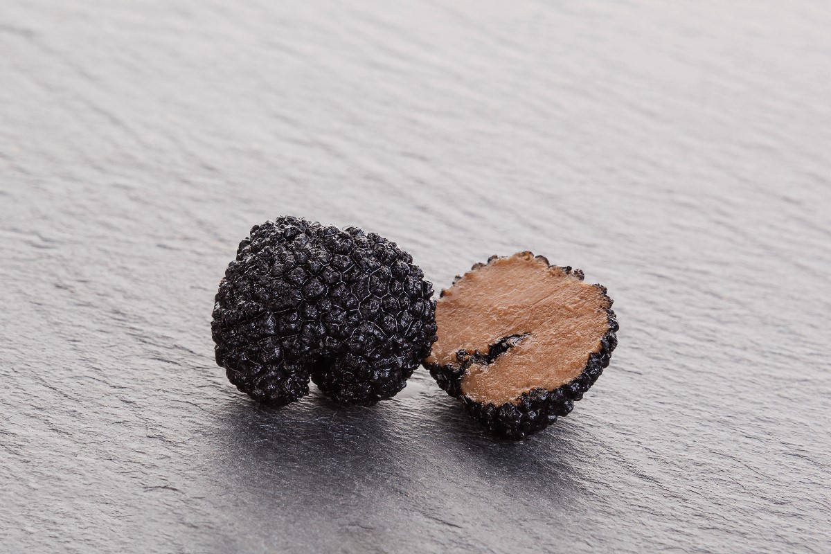 Black truffle