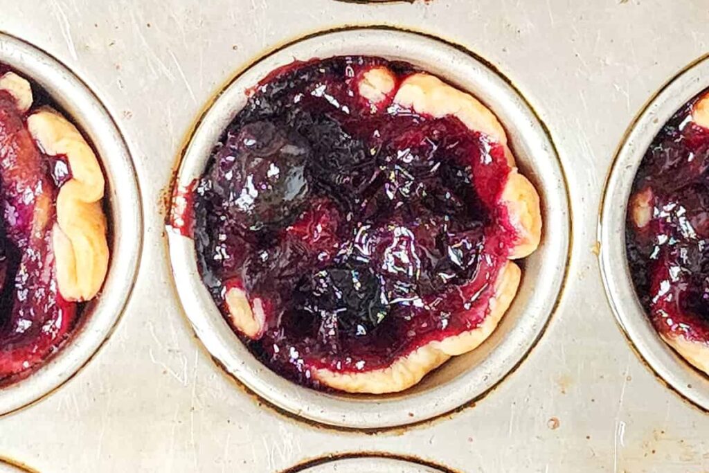 Blueberry Brie Bites by Ericas Recipes
