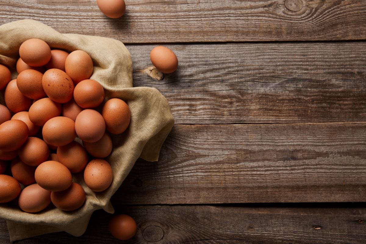 Brown EggsAntonMatyukha