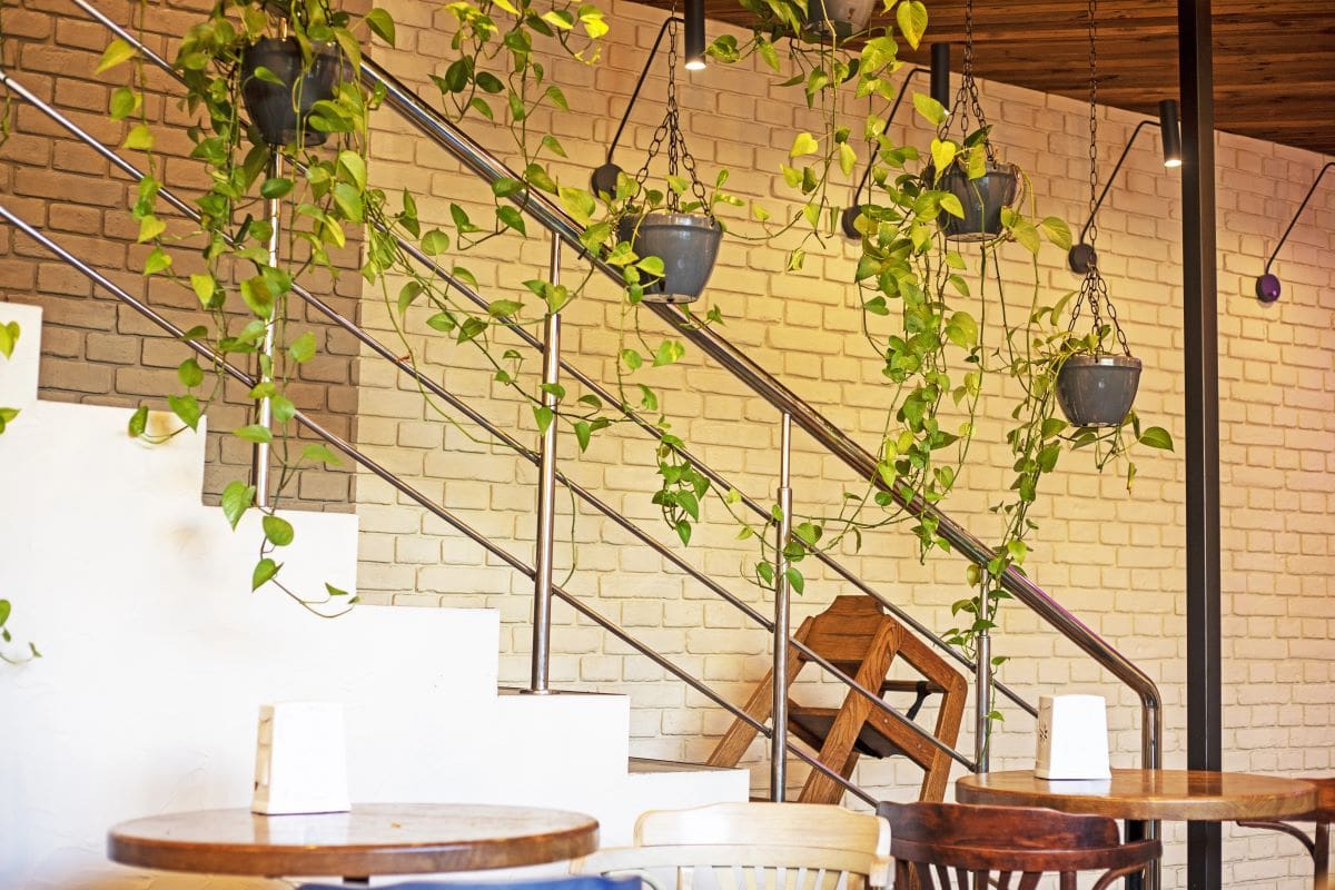 Cafe with flower arrangementsNamak