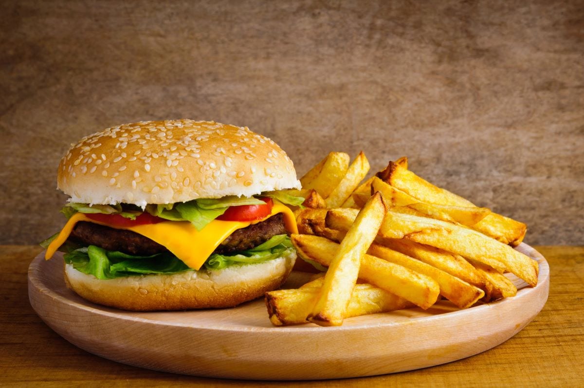 Cheeseburger with FriesDraghicich