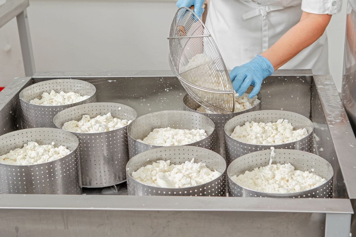 CheesemakingTrofimchuk v.mail .ru