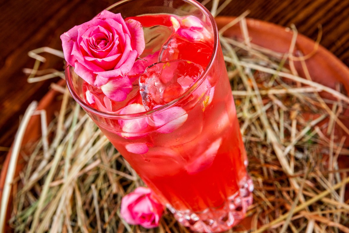 Cocktail