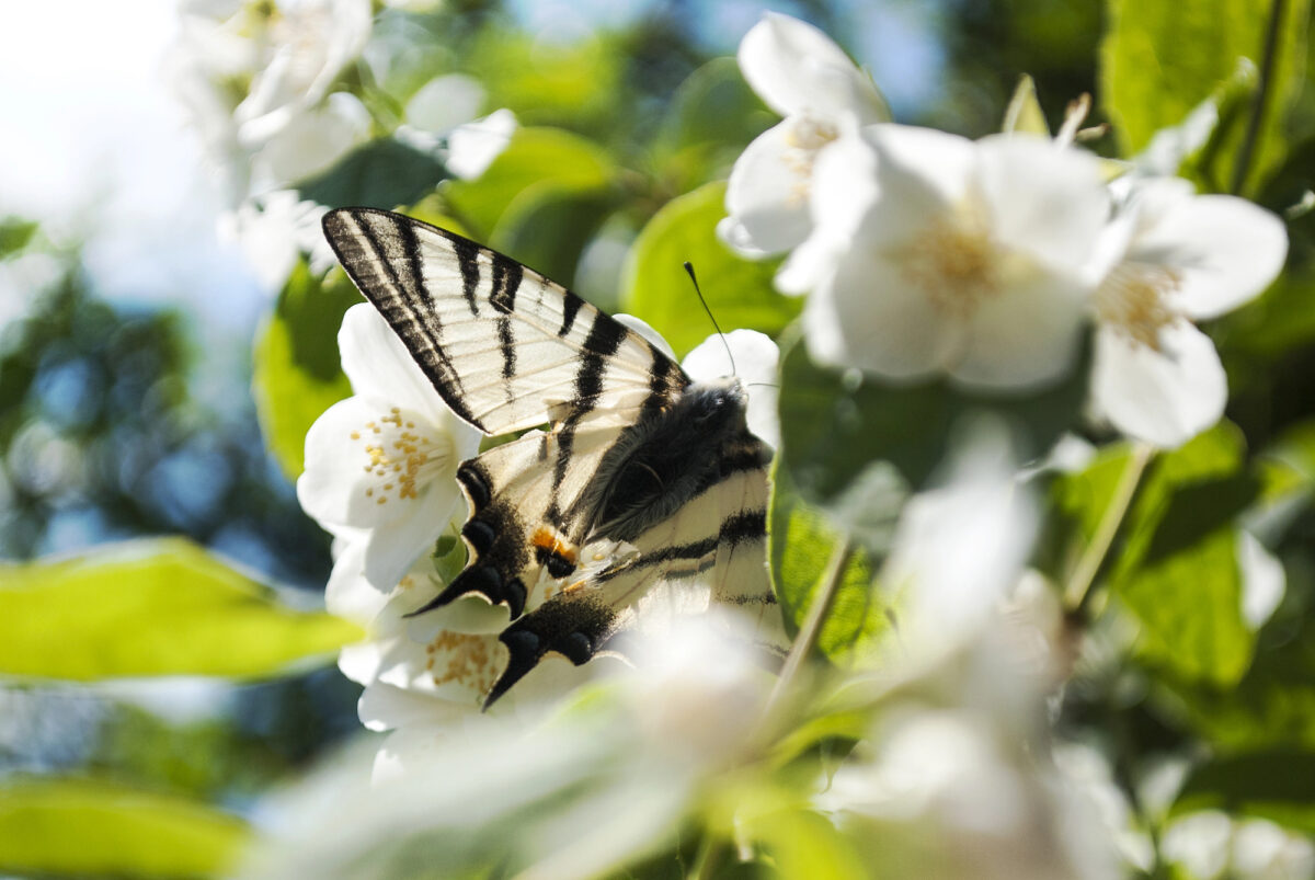 Depositphotos 374712524 L e1750766516707