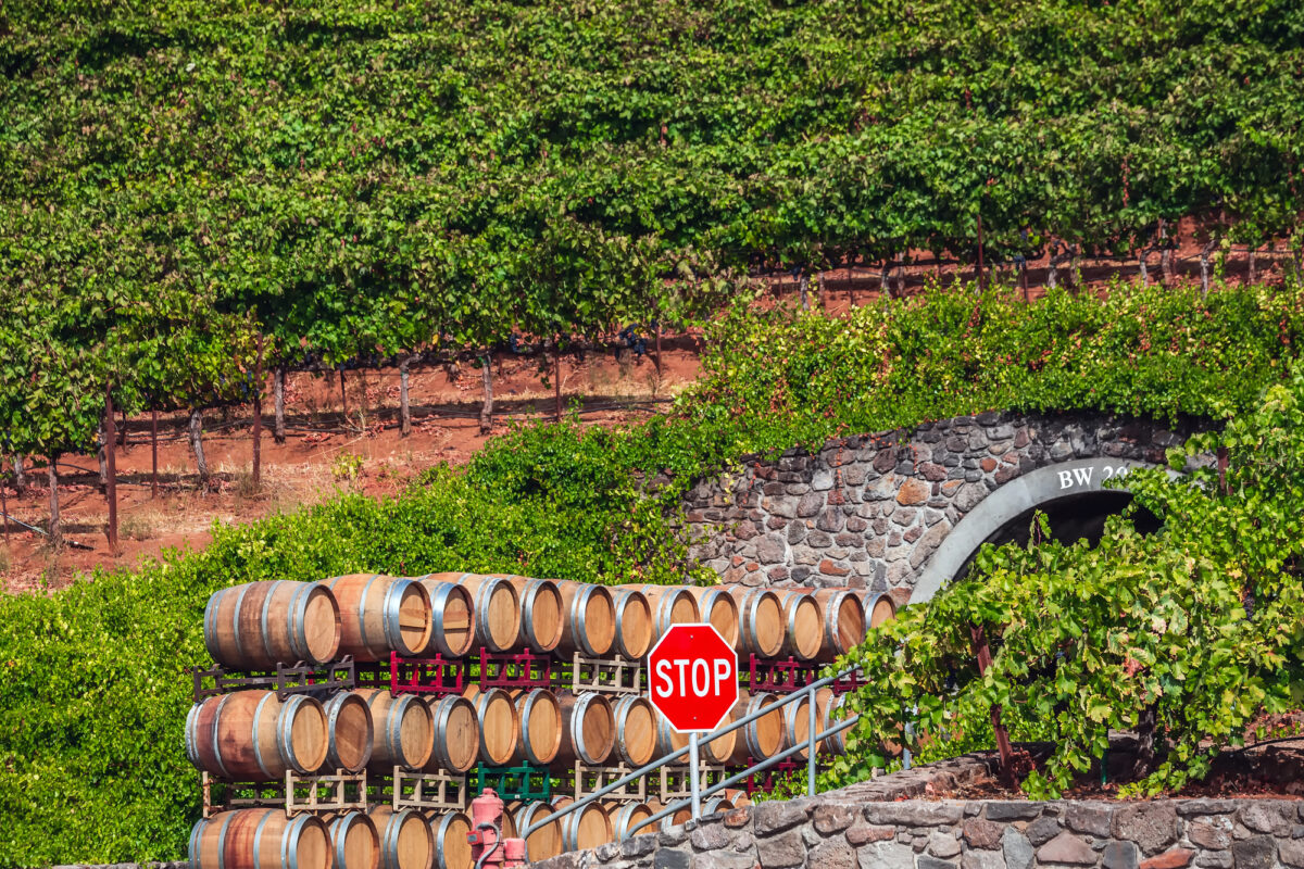 Depositphotos 458435736 L e1750763836157