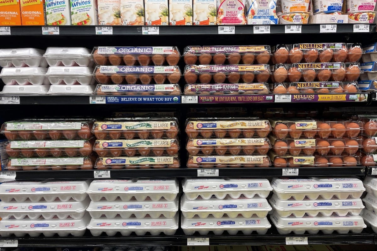 Eggs in grocery