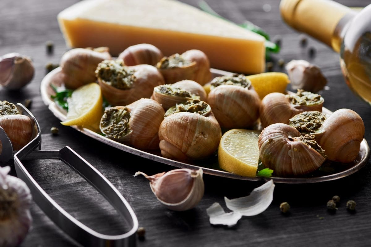 EscargotVadimvasenin