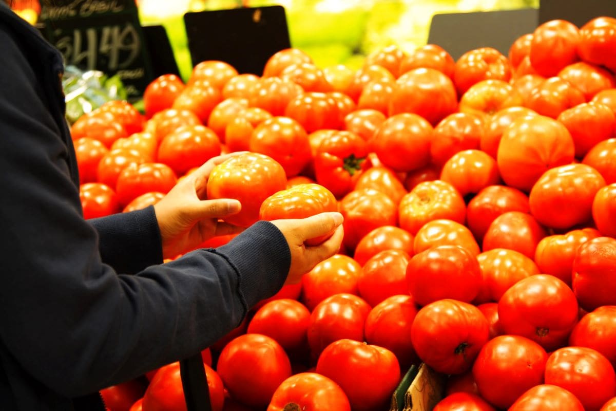 Everyday produceAremafoto