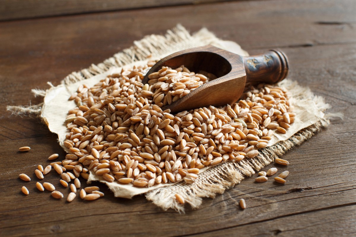 Farro