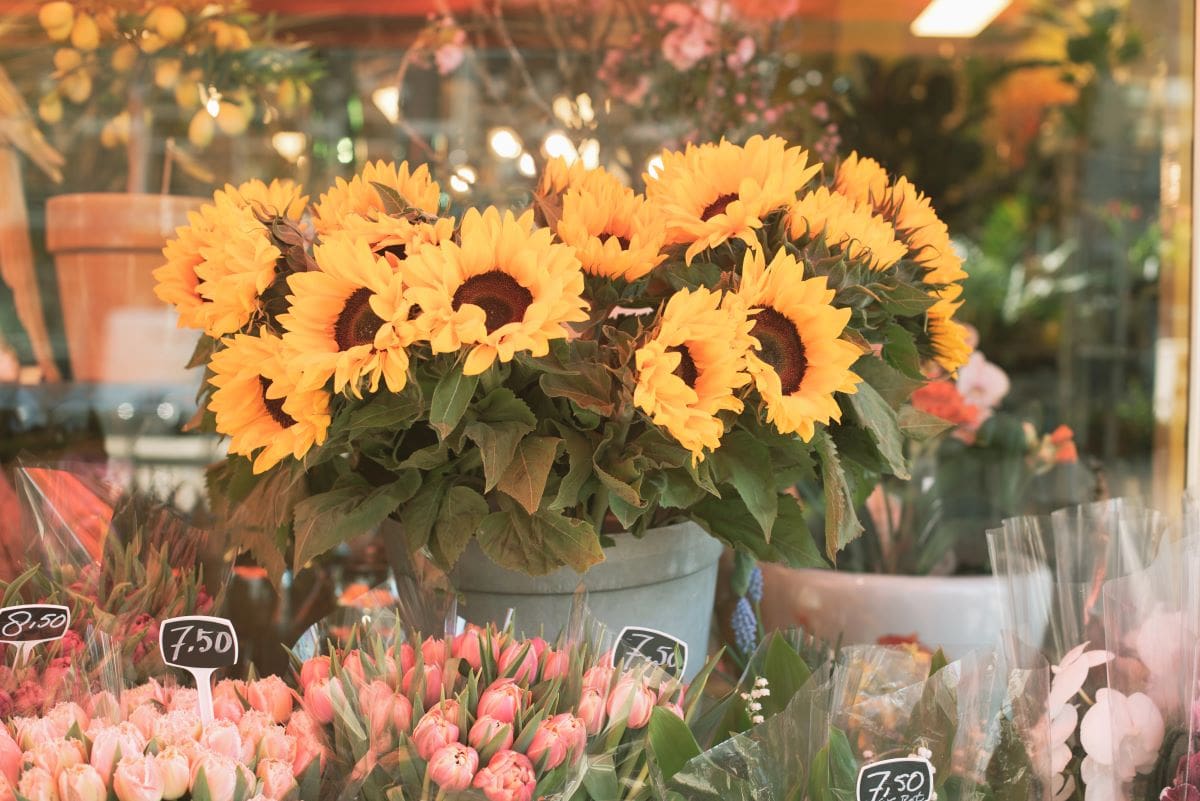 Flower shop2Alenapetrachkova