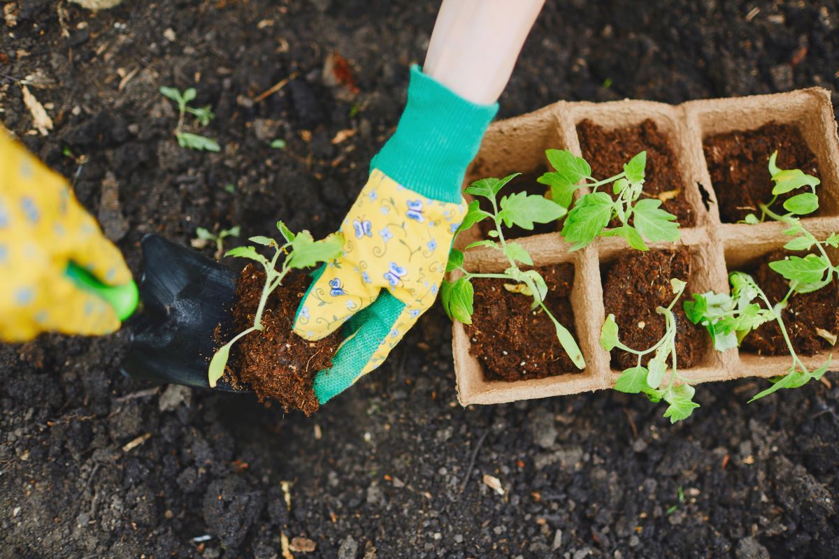 GardeningPressmaster
