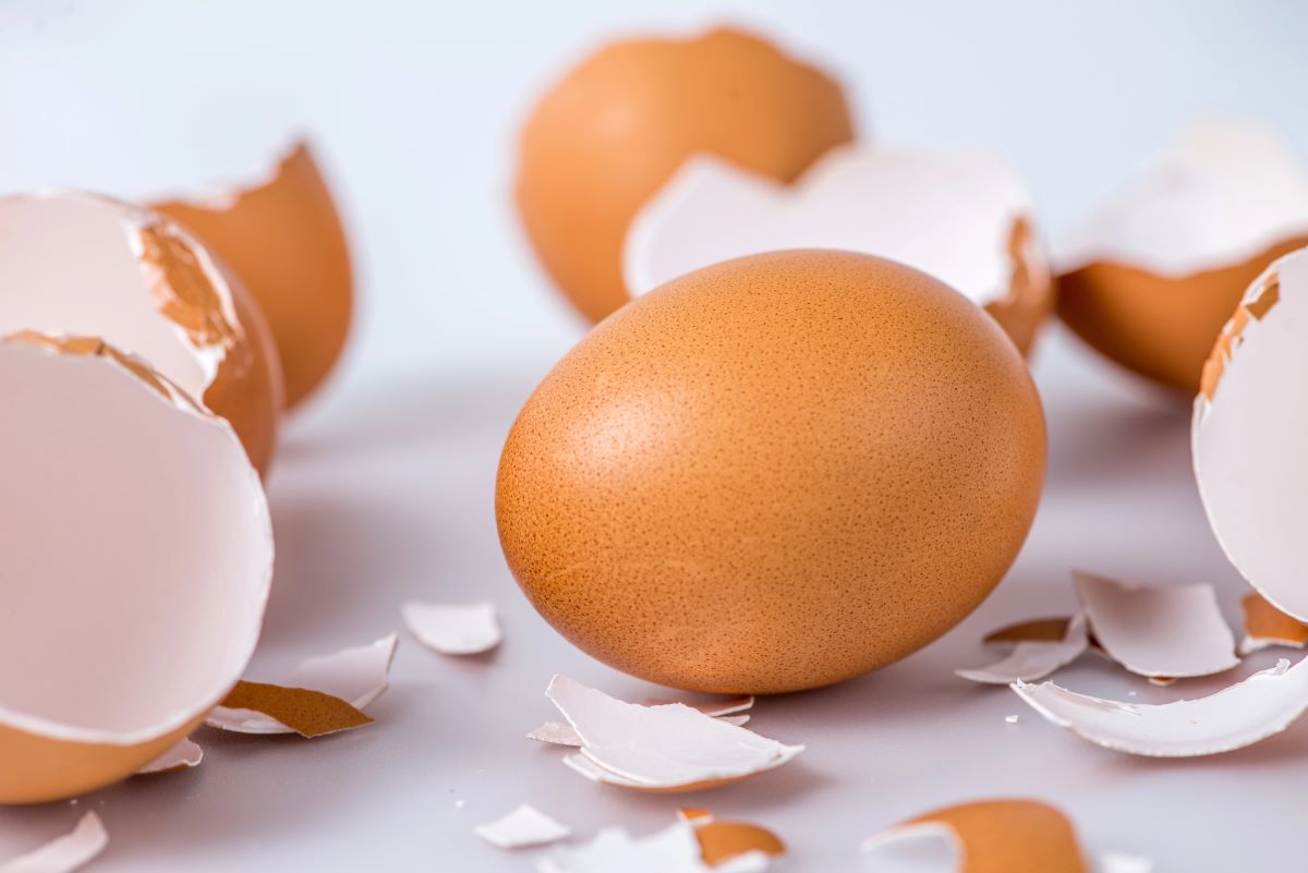 Hard Boiled EggsSomdul