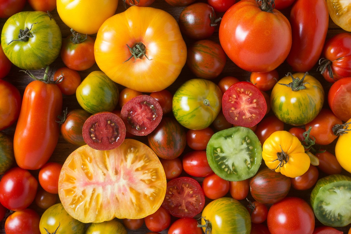 Heirloom tomatoes