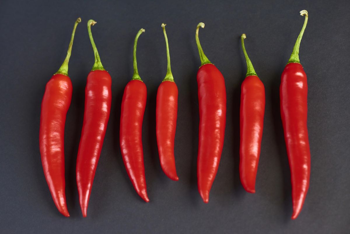 Hot PeppersAgaveStudio